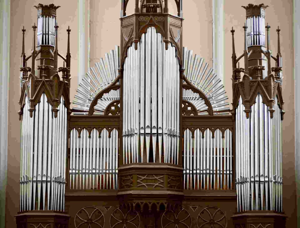 Read more about the article Katara Dillard: Illuminating the Path of Social Justice